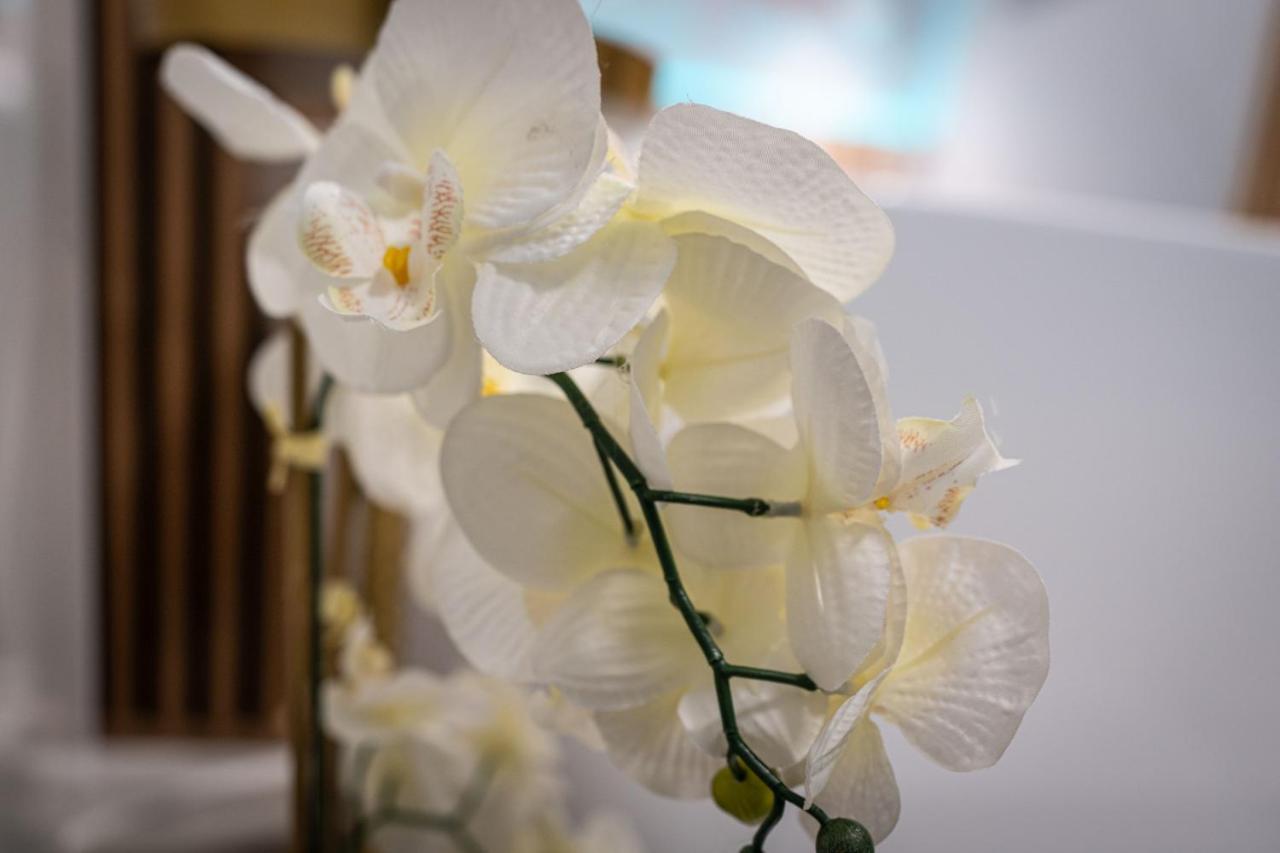 Dasto Apartments Old Town クラクフ 部屋 写真